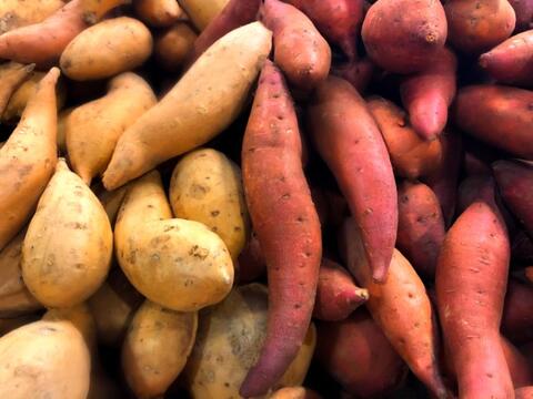 Patate douce